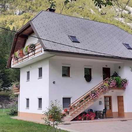 Apartma Pod Rozem Soča Extérieur photo