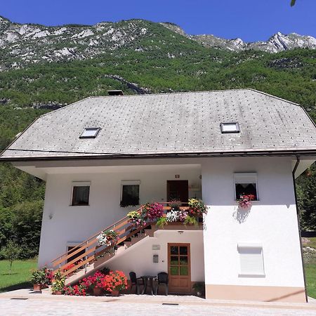Apartma Pod Rozem Soča Extérieur photo
