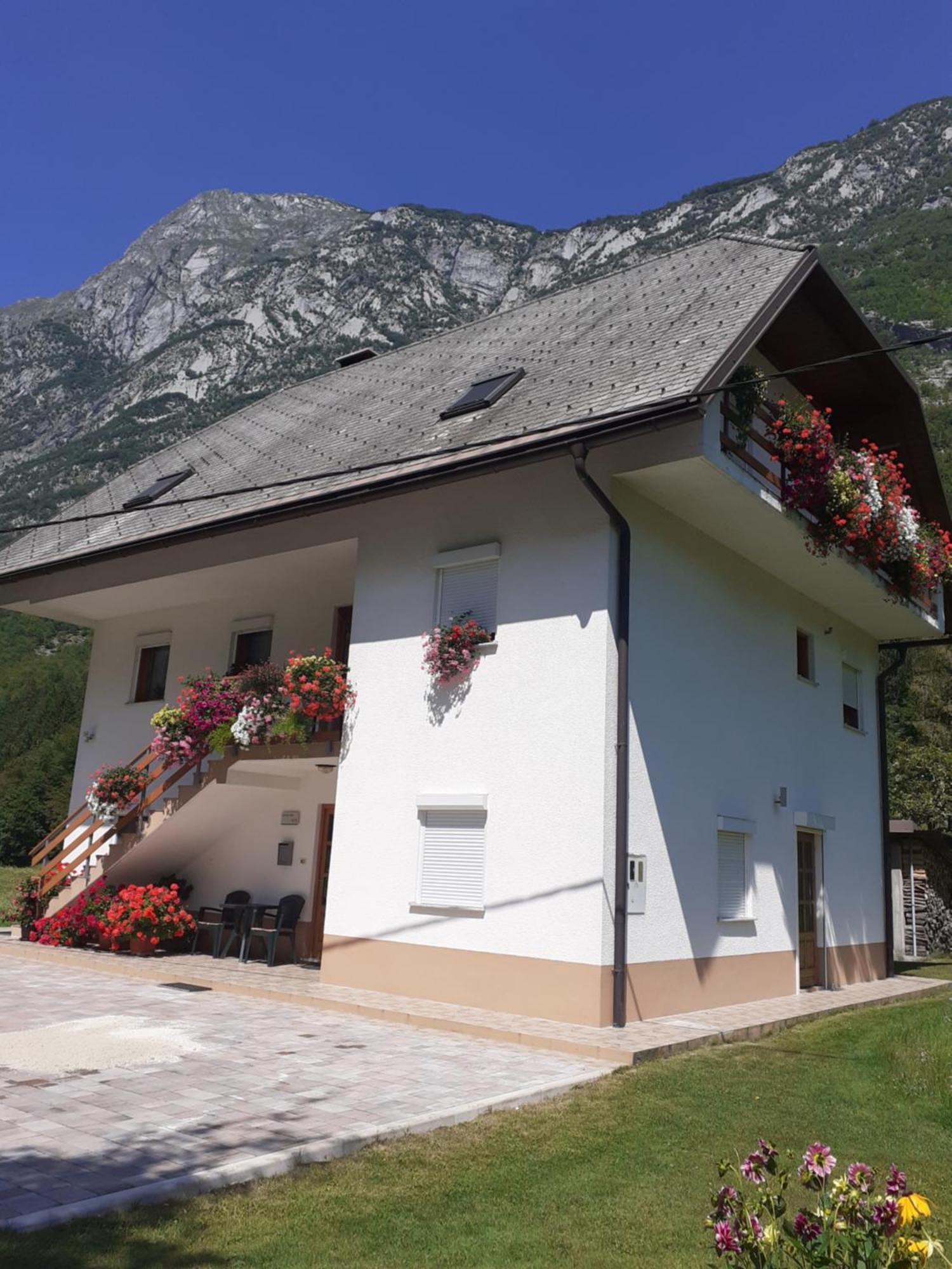 Apartma Pod Rozem Soča Extérieur photo