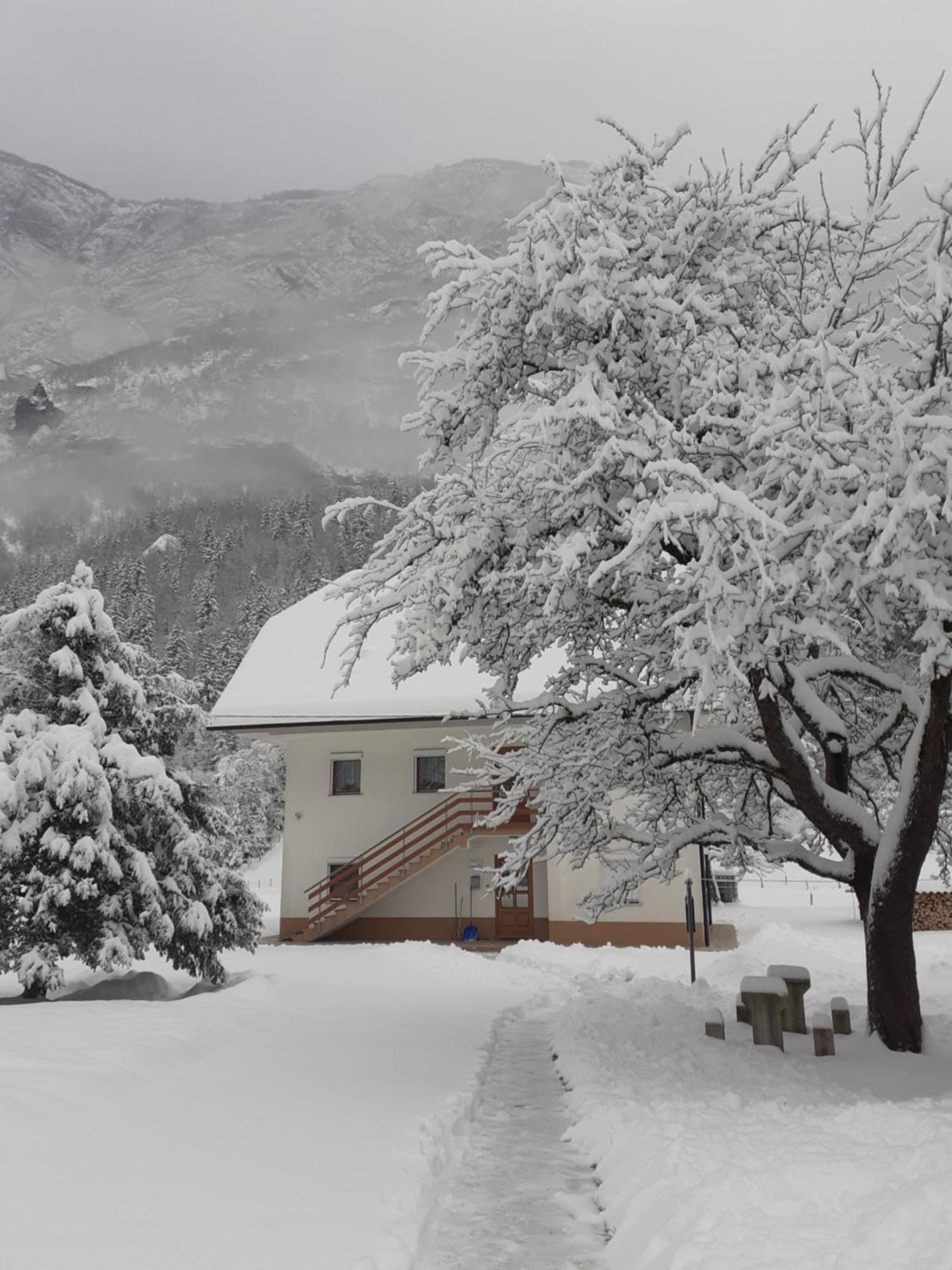 Apartma Pod Rozem Soča Extérieur photo