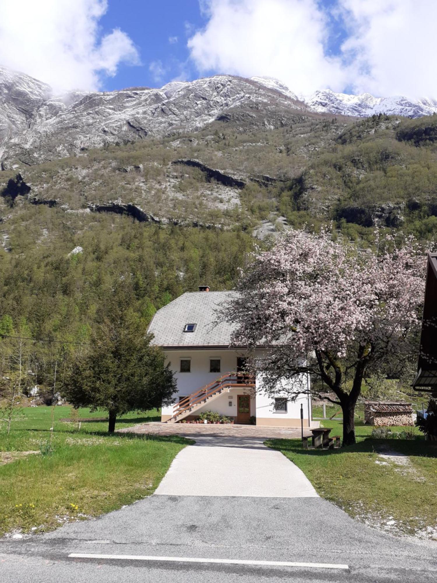 Apartma Pod Rozem Soča Extérieur photo