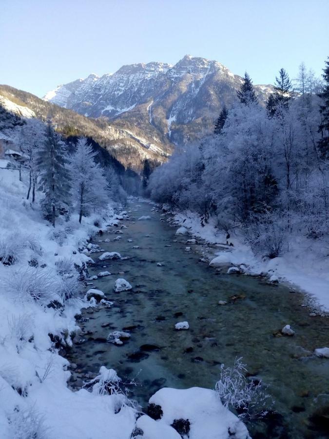 Apartma Pod Rozem Soča Extérieur photo