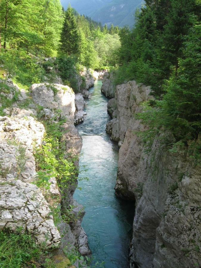 Apartma Pod Rozem Soča Extérieur photo