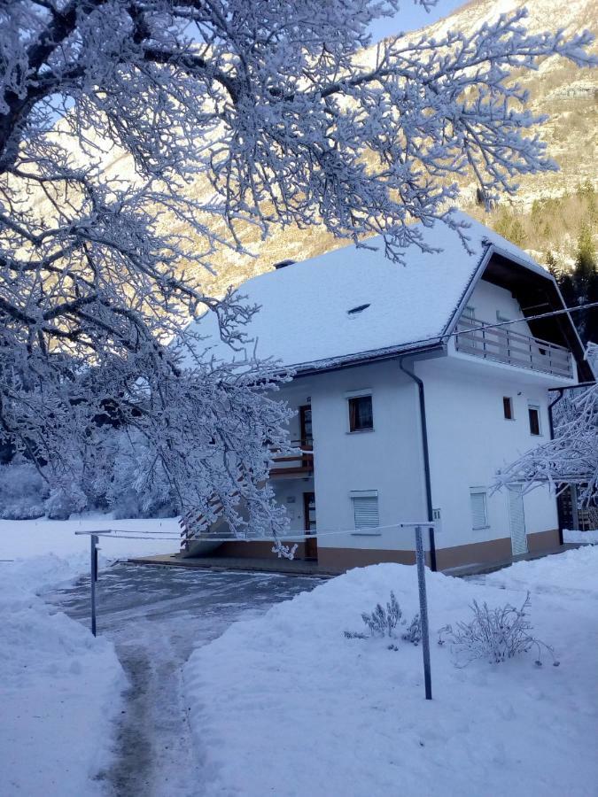 Apartma Pod Rozem Soča Extérieur photo
