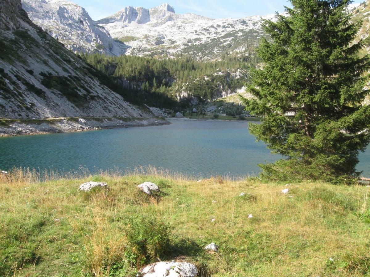 Apartma Pod Rozem Soča Extérieur photo