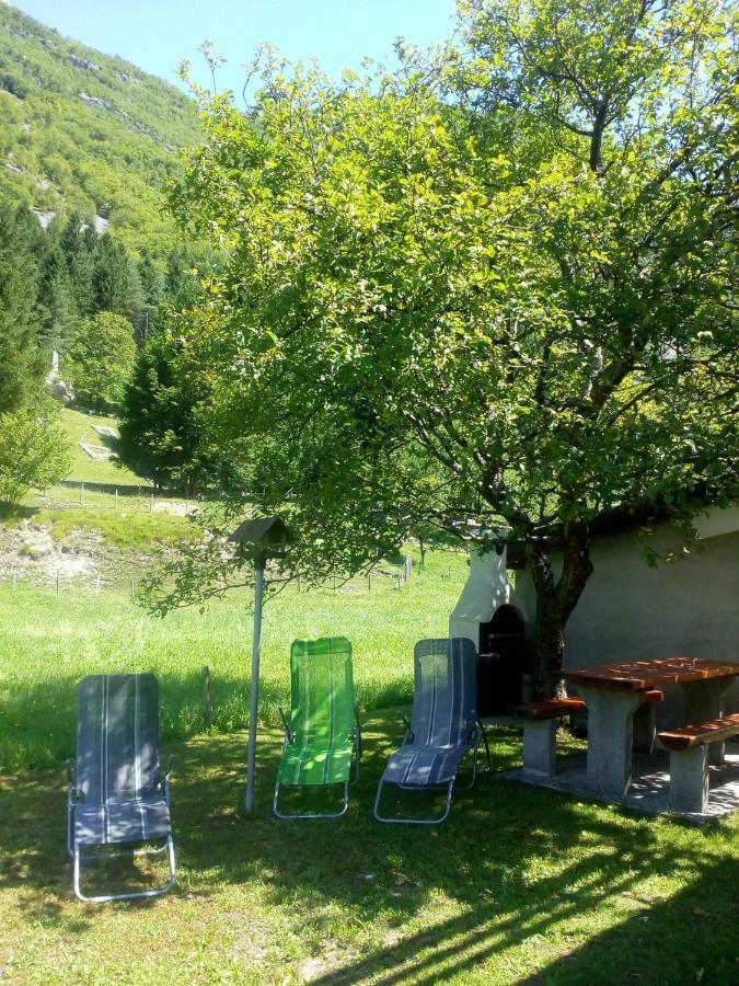 Apartma Pod Rozem Soča Extérieur photo