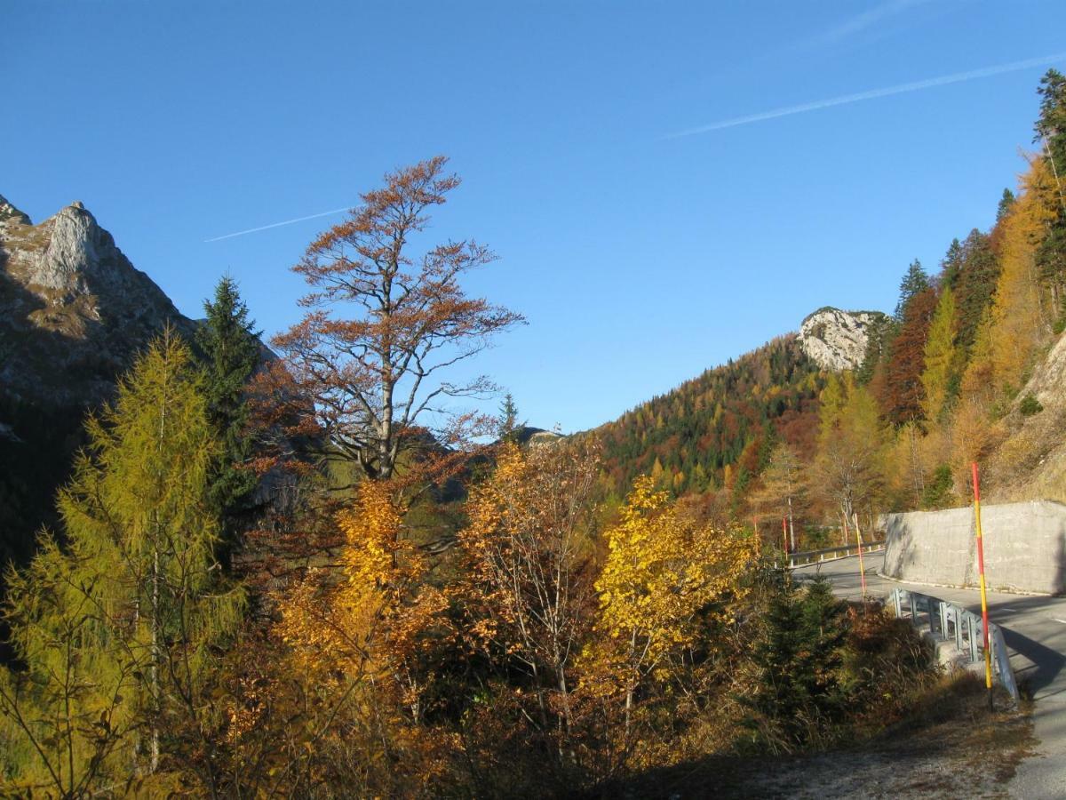 Apartma Pod Rozem Soča Extérieur photo