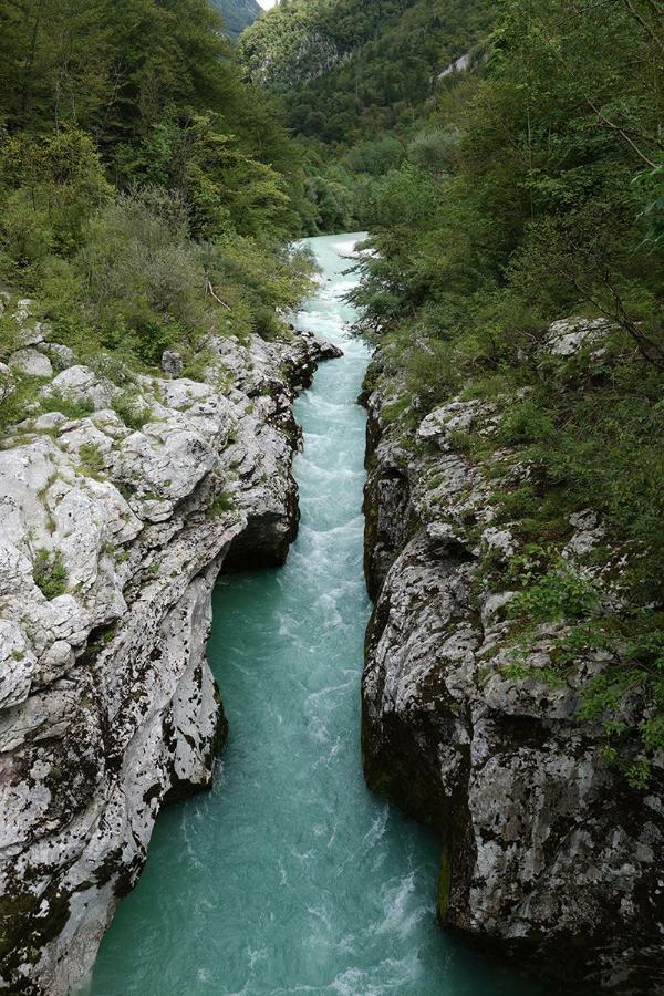 Apartma Pod Rozem Soča Extérieur photo